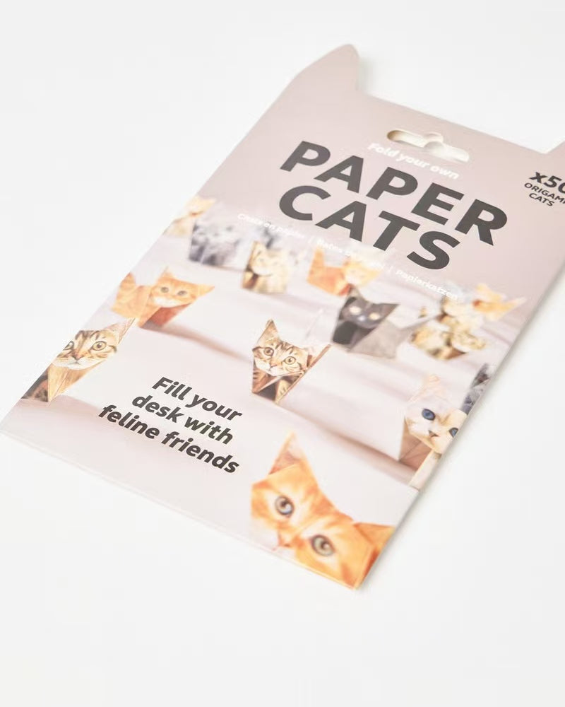 ๐ป๐พDIY Paper Cats