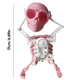 Dancing and Swinging 3D Skull Toy 🎉