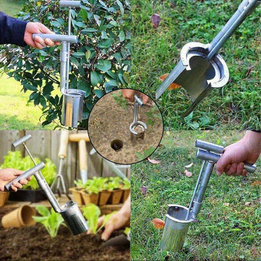 Plant and fruit tree seedling transplanter
