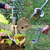 Plant and fruit tree seedling transplanter