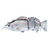 🐠 Bionic swimming bait