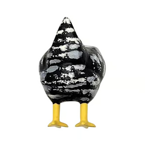 🐓Chicken Butt Magnets | The Funniest Gifts for Family