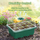 🌱 Adjustable Humidity Seed Starter Trays with Grow Light