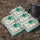 🌱 Adjustable Humidity Seed Starter Trays with Grow Light