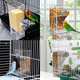 No Mess Automatic Bird Feeder
