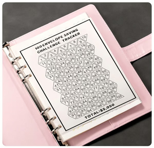 🔥🤑✉️100 Envelope Savings Challenge Book