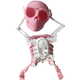 Dancing and Swinging 3D Skull Toy 🎉